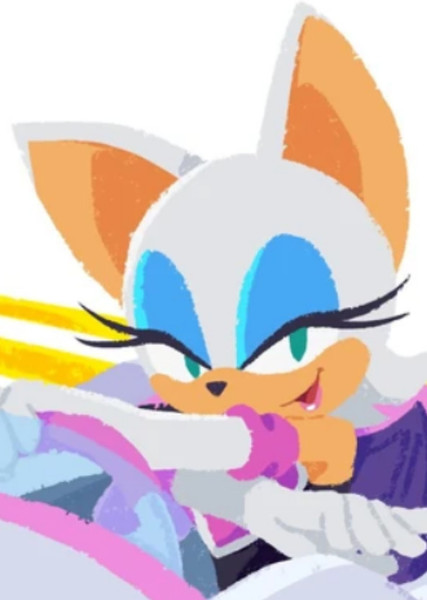 Rouge the Bat photo