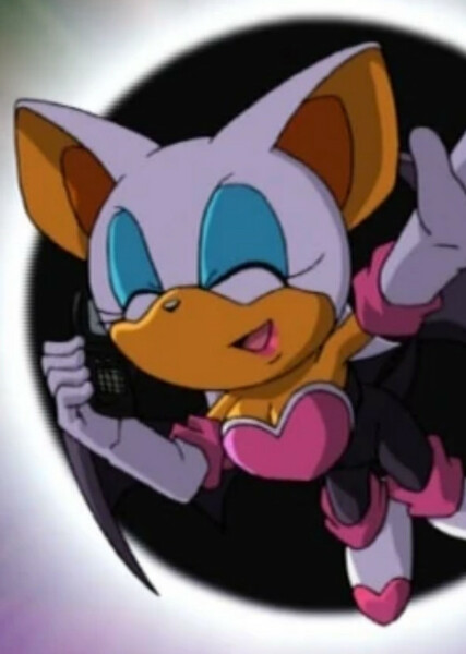 Rouge the Bat (Sonic X) photo