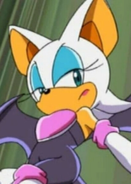Rouge the Bat (Sonic X) photo