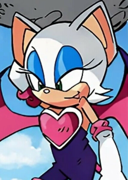Rouge the Bat (Sonic X) photo