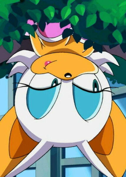 Rouge the Bat (Sonic X) photo