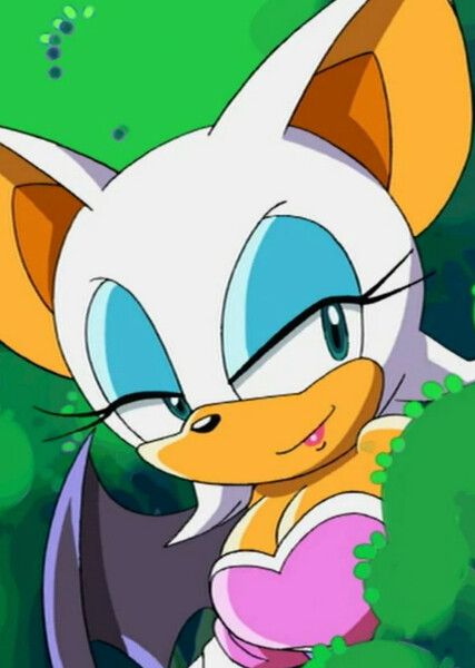Rouge the Bat (Sonic X) photo