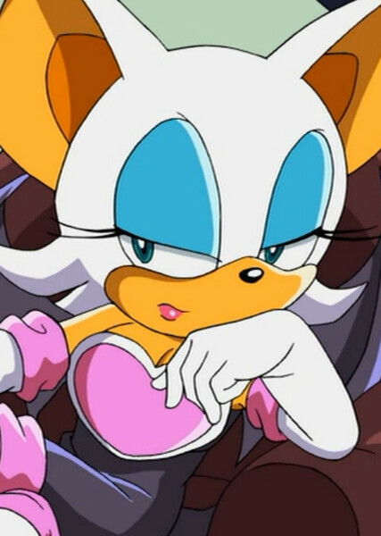 Rouge the Bat (Sonic X) photo