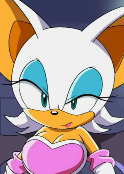 Rouge the Bat (Sonic X) photo