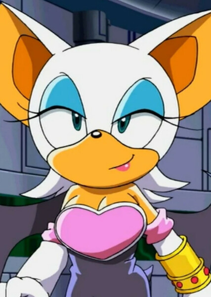 Rouge the Bat (Sonic X) photo