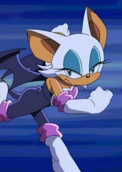 Rouge the Bat (Sonic X) photo
