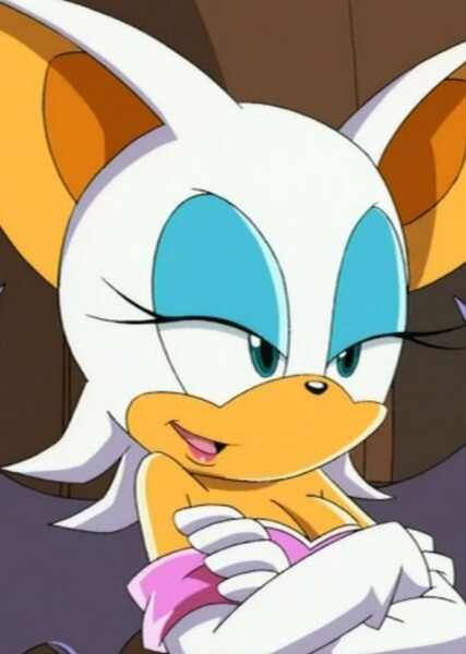 Rouge the Bat (Sonic X) photo