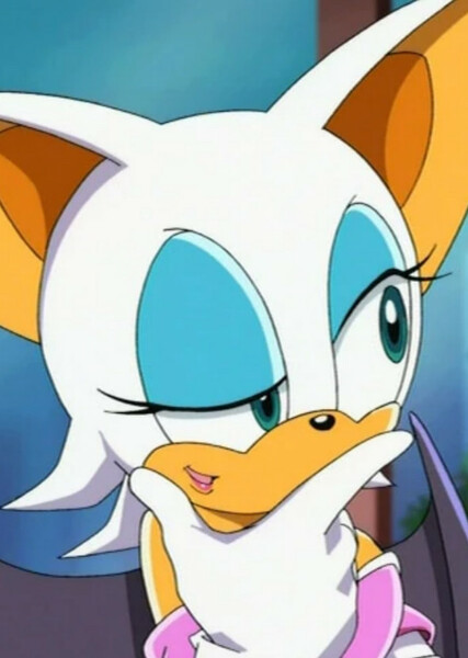 Rouge the Bat (Sonic X) photo