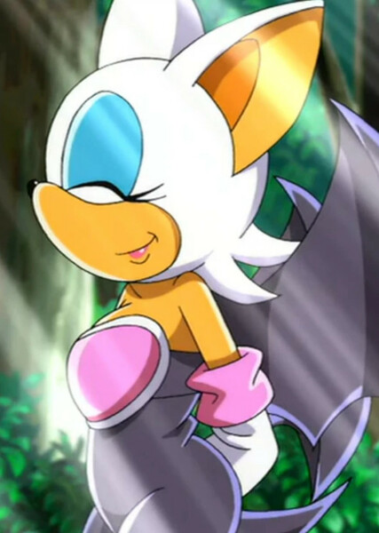 Rouge the Bat (Sonic X) photo