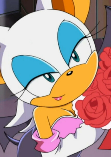 Rouge the Bat (Sonic X) photo
