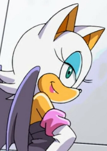Rouge the Bat (Sonic X) photo