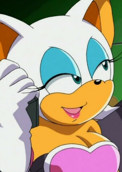 Rouge the Bat (Sonic X) photo