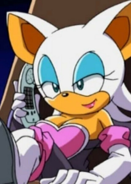 Rouge the Bat (Sonic X) photo