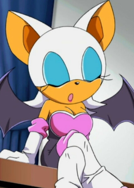 Rouge the Bat (Sonic X) photo