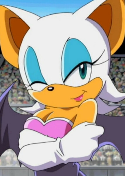 Rouge the Bat (Sonic X) photo