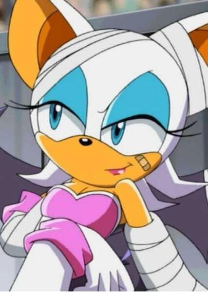 Rouge the Bat (Sonic X) photo