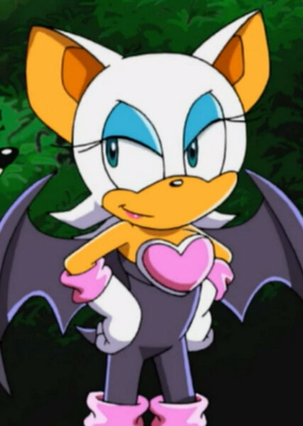 Rouge the Bat (Sonic X) photo