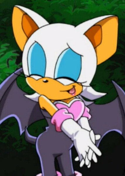 Rouge the Bat (Sonic X) photo
