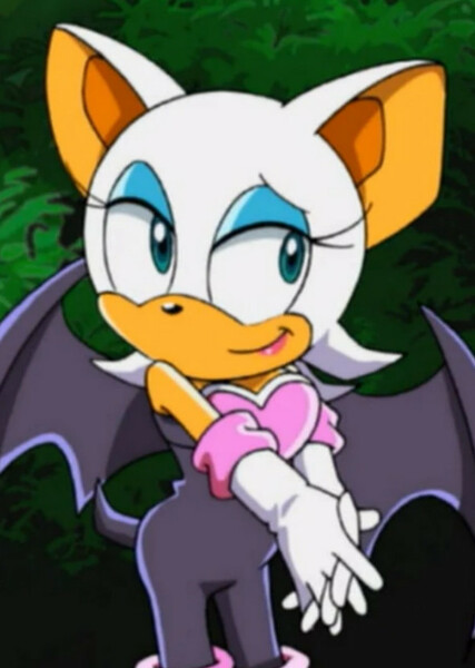 Rouge the Bat (Sonic X) photo