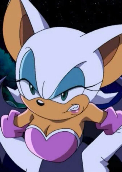 Rouge the Bat (Sonic X) photo
