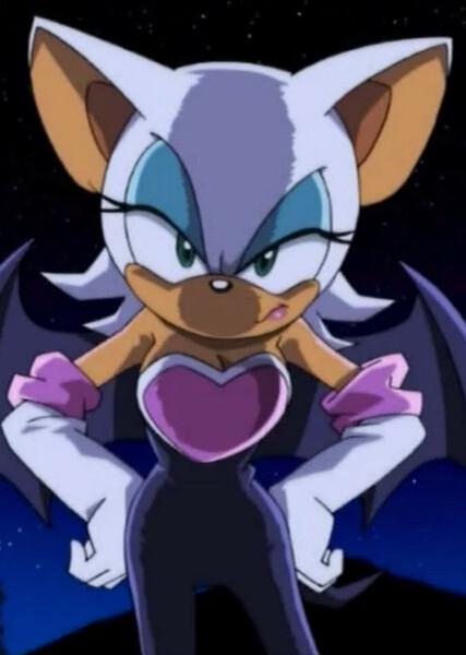 Rouge the Bat (Sonic X) photo