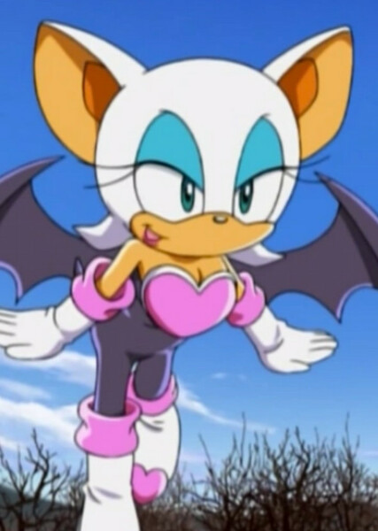 Rouge the Bat (Sonic X) photo