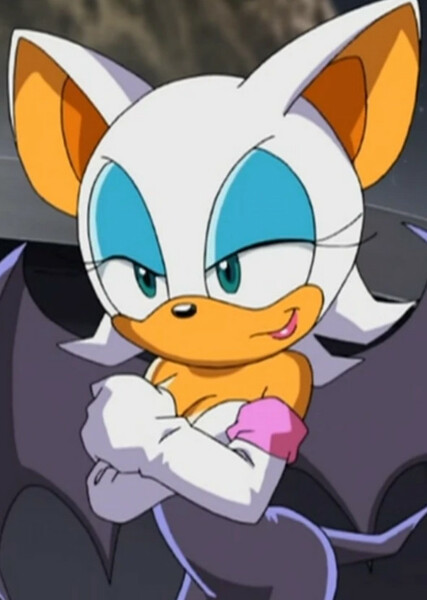 Rouge the Bat (Sonic X) photo