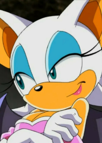 Rouge the Bat (Sonic X) photo
