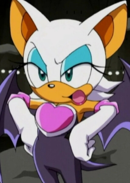 Rouge the Bat (Sonic X) photo