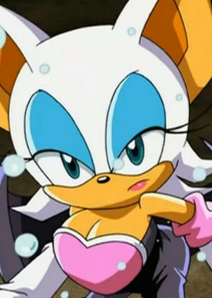 Rouge the Bat (Sonic X) photo