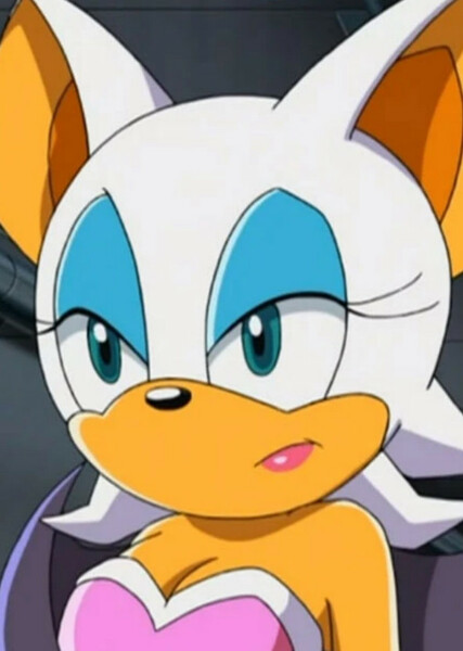 Rouge the Bat (Sonic X) photo