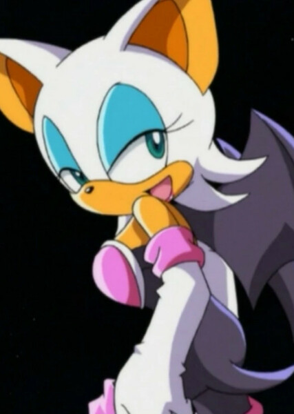 Rouge the Bat (Sonic X) photo