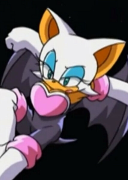 Rouge the Bat (Sonic X) photo