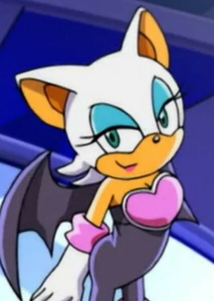 Rouge the Bat (Sonic X) photo