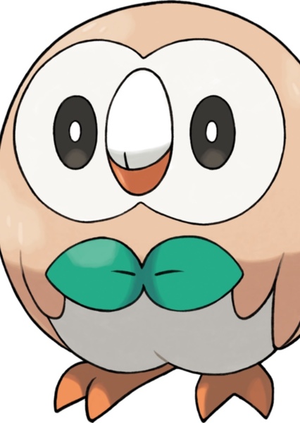 Rowlet photo