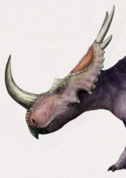 Rubeosaurus photo