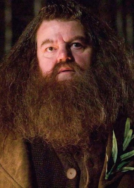 Rubeus Hagrid