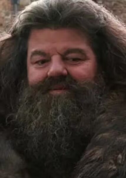 Rubeus Hagrid photo