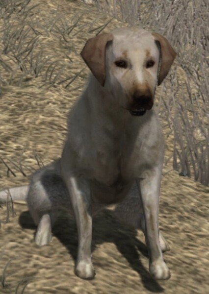 Rufus (Red Dead Redemption) photo
