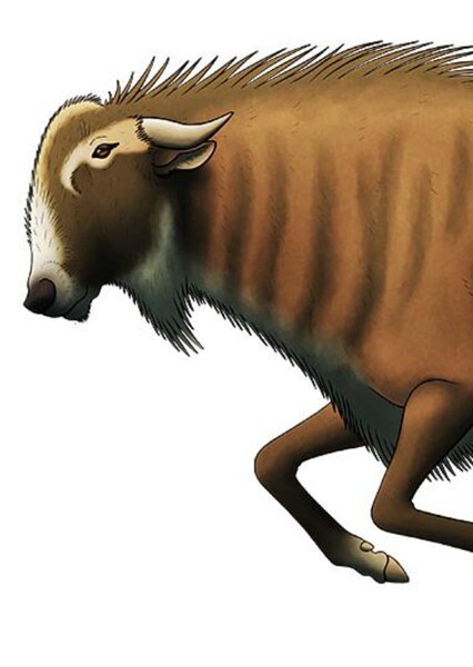 Rusingoryx photo