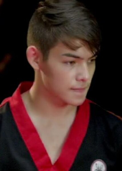 Ryan Potter photo