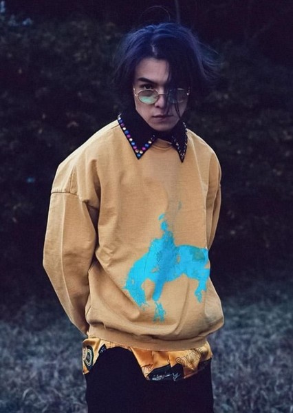 Ryan Potter photo