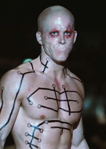 Ryan Reynolds photo