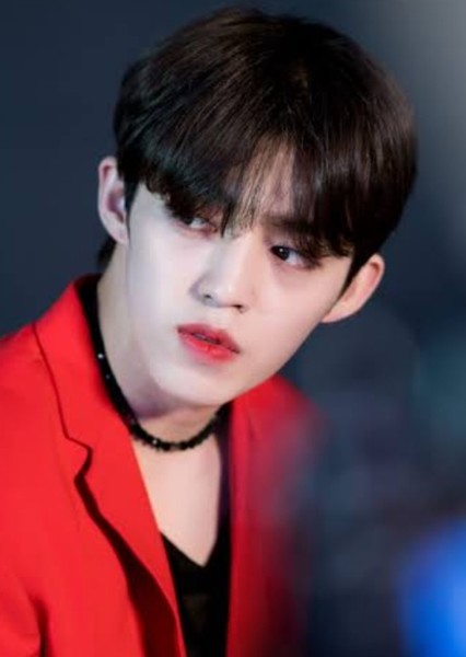 S.Coups photo