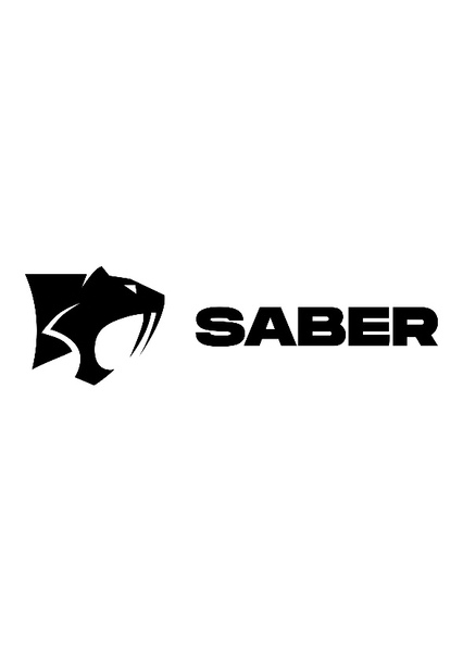 Saber Interactive