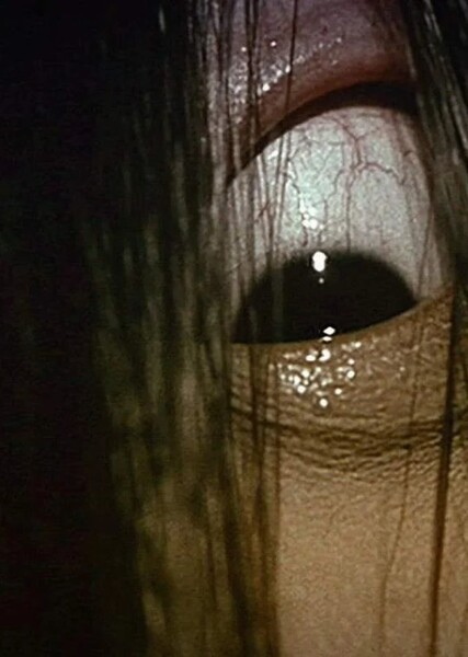 Sadako Yamamura photo
