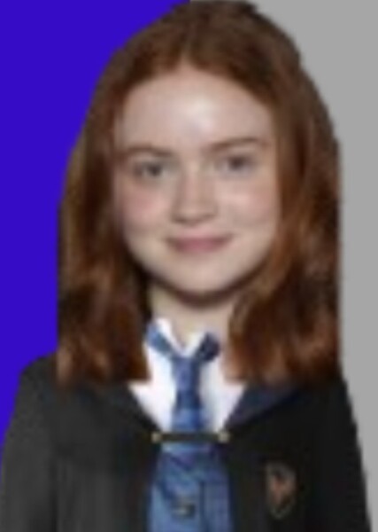 Sadie Sink photo