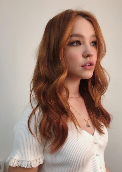 Fawn
