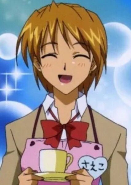 Saeko (School Rumble)