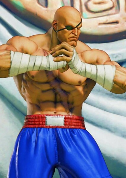 Sagat photo